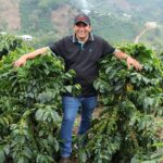 cafea-specialitate-columbia-finca-monteblanco-fermier