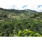 cafea-specialitate-columbia-finca-monteblanco-regiune